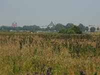 NL, Noord-Brabant, 's Hertogenbosch, Bossche broek 18, Saxifraga-Willem van Kruijsbergen